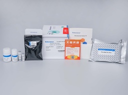 [E-BC-K002-M] D-乳酸（LA）比色法测试盒